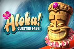 aloha! online slot netent royal panda
